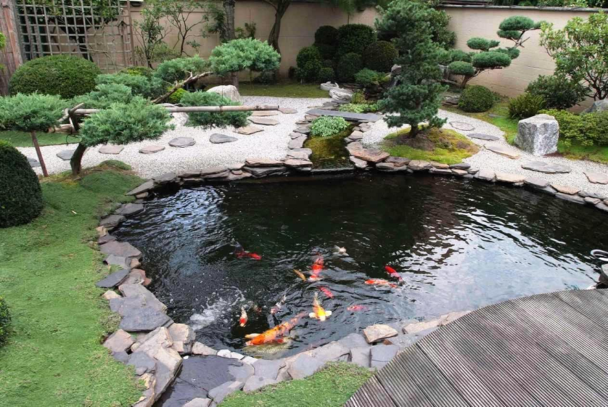 Contoh gambar desain kolam ikan koi dengan tepi dari batu